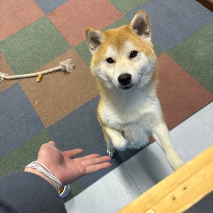 らむ