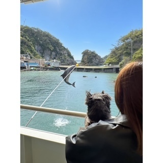 かれん