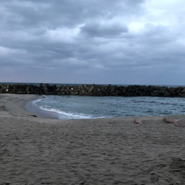 きずな