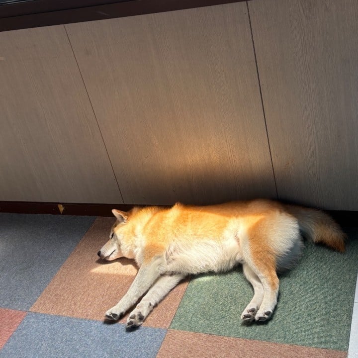 はんな