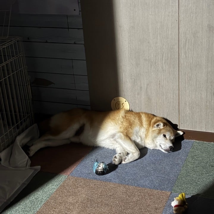 はんな