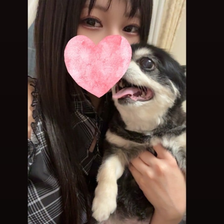 いこい