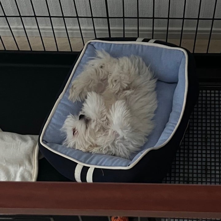 なぎ