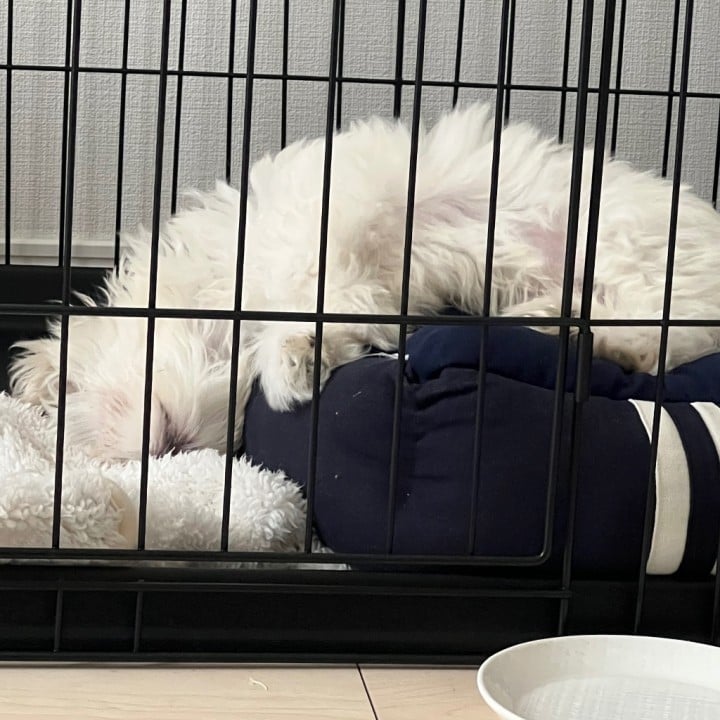 なぎ