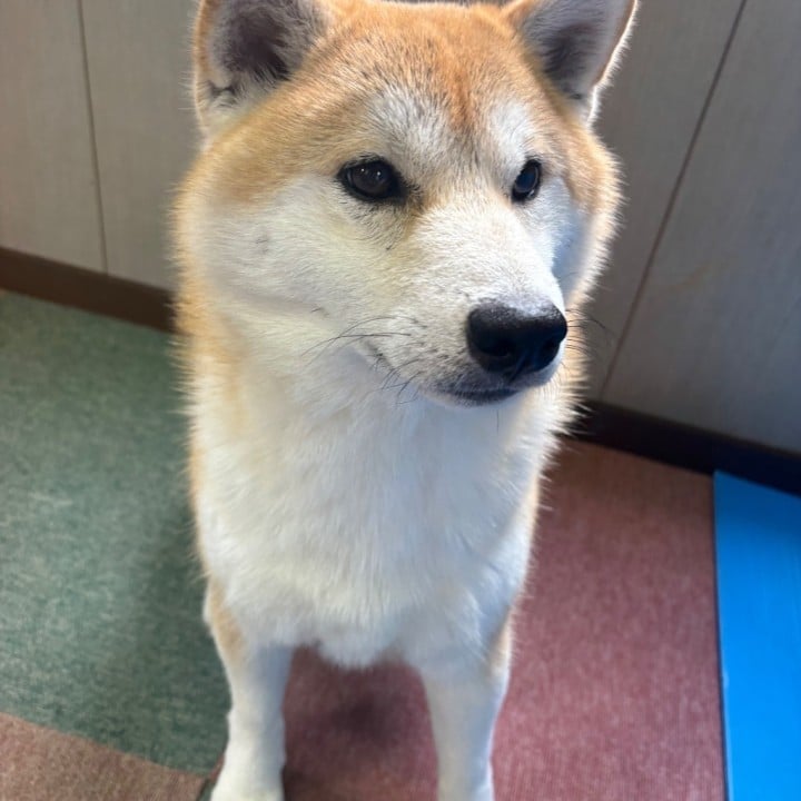 らむ
