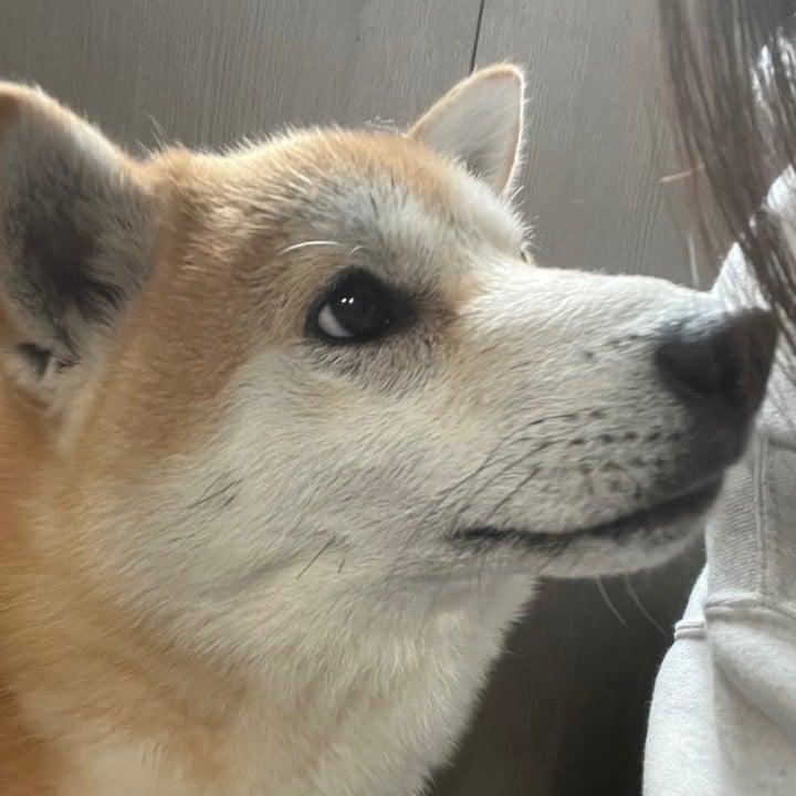 ふみの