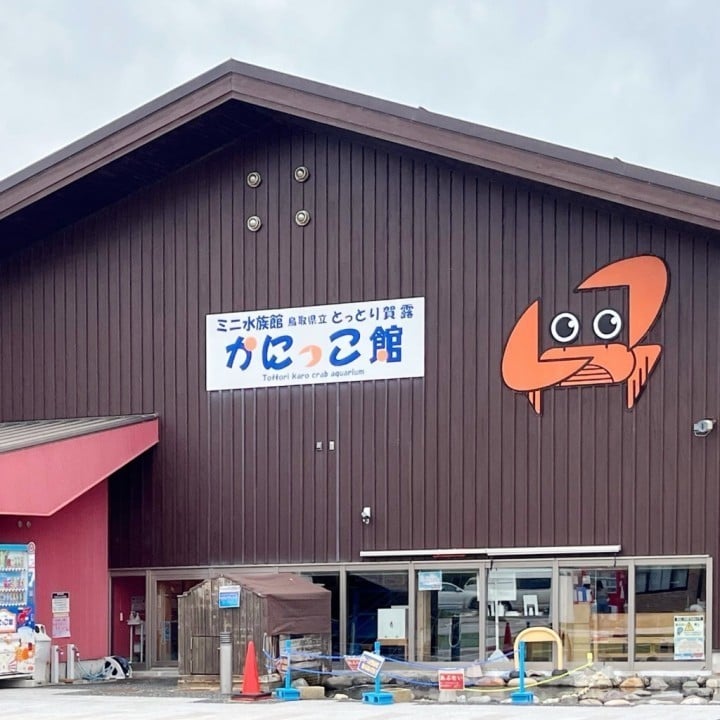 せい
