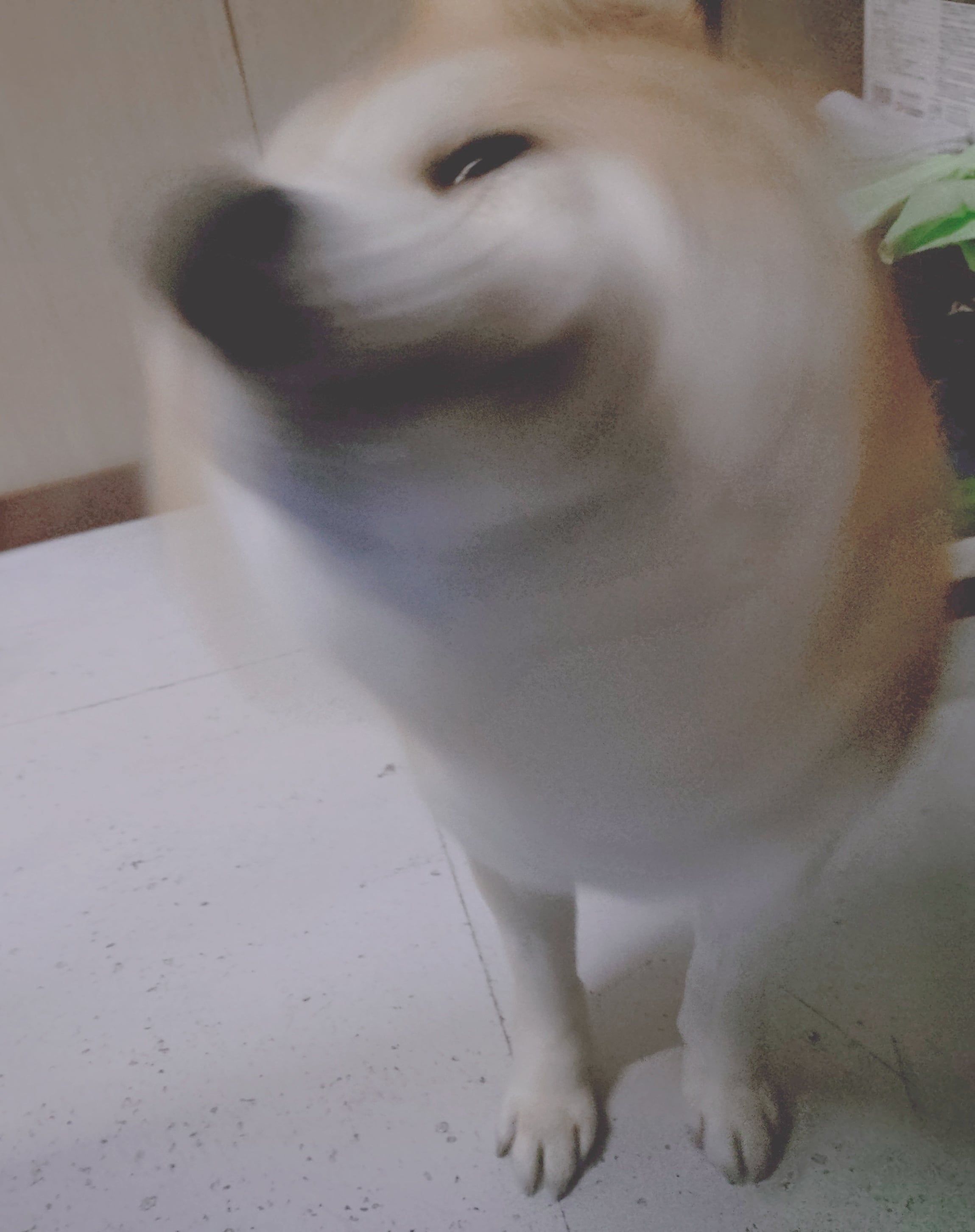 みくに