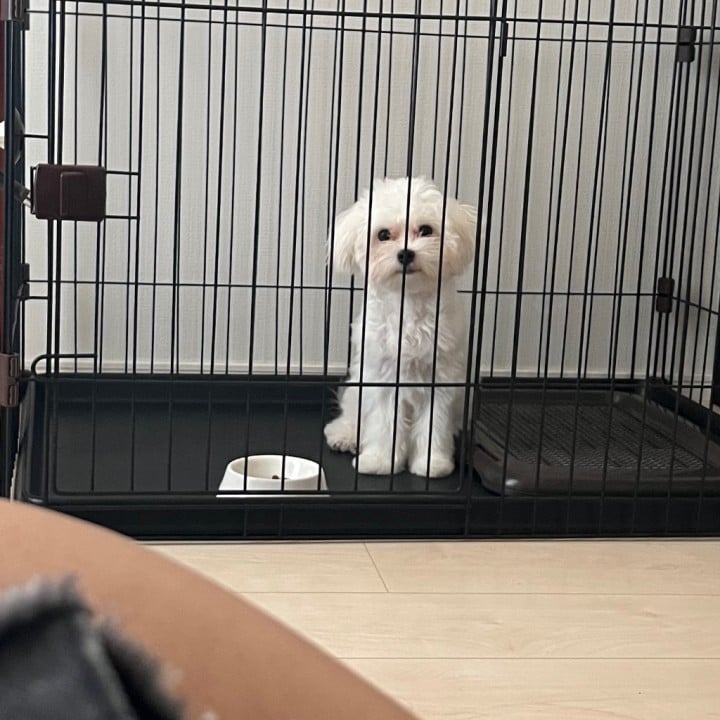 なぎ