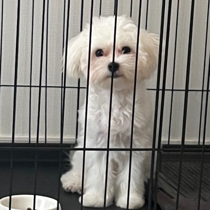 なぎ