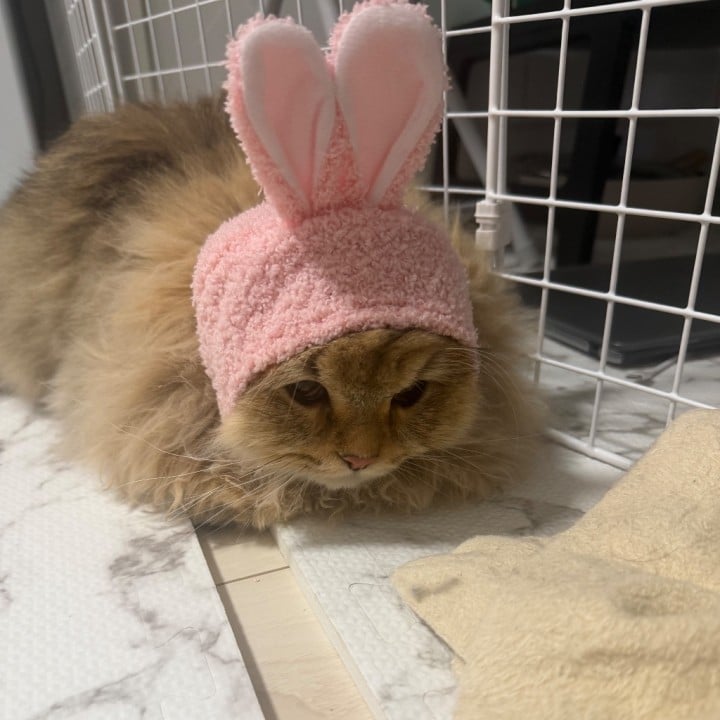 いっちゃん