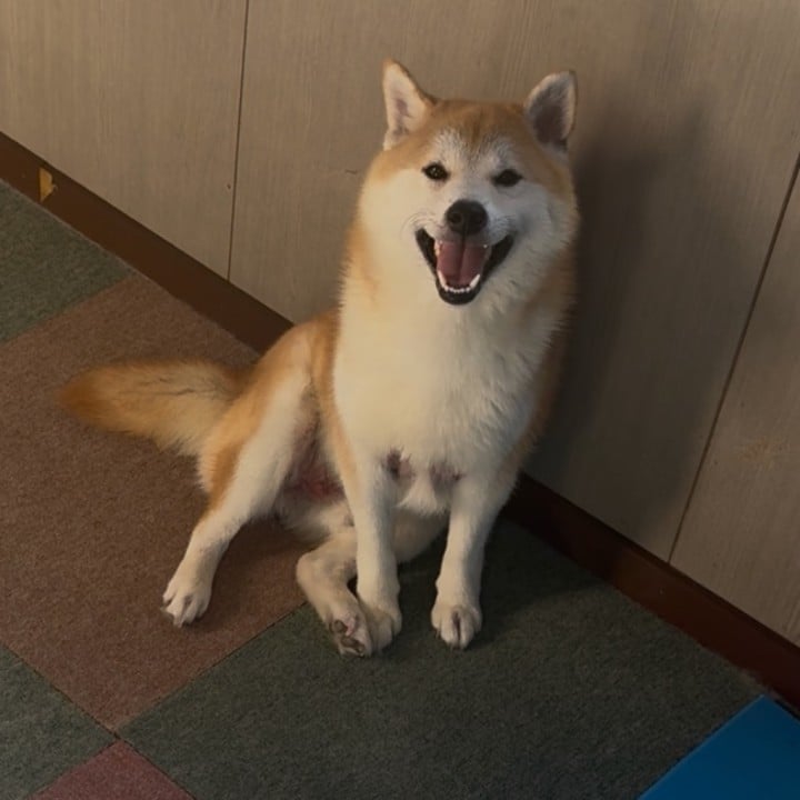 らむ