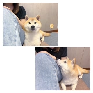 image1.jpeg
