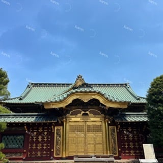 image1.jpeg