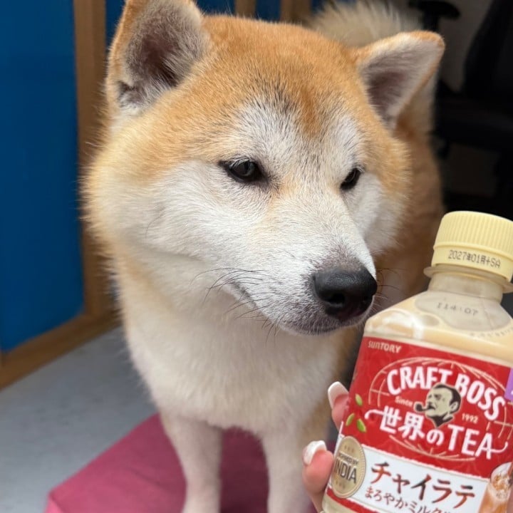 もも