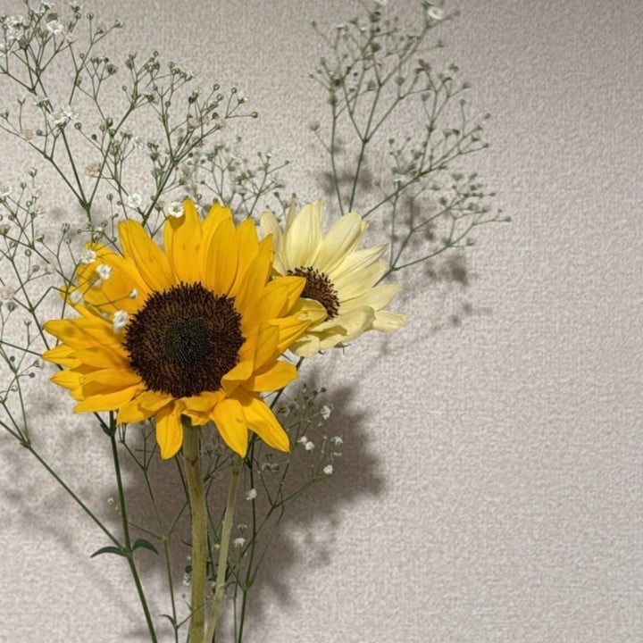 もも