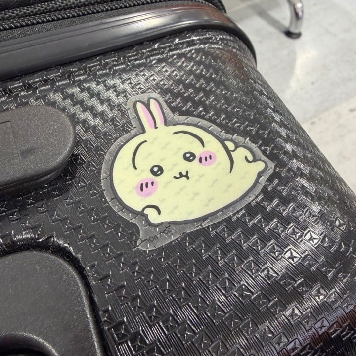 しらん