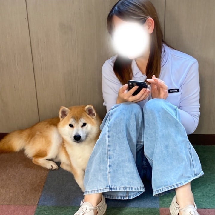 かれん