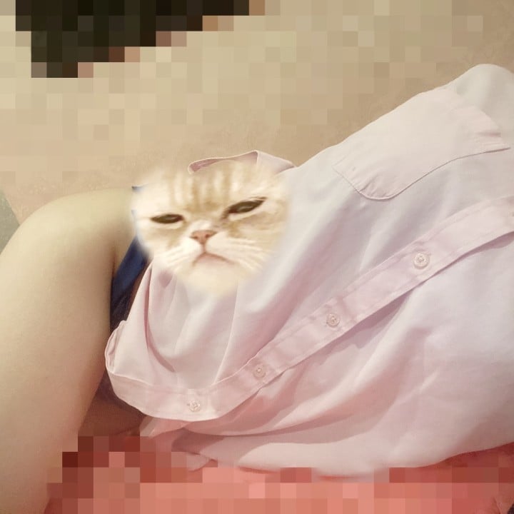 はとり