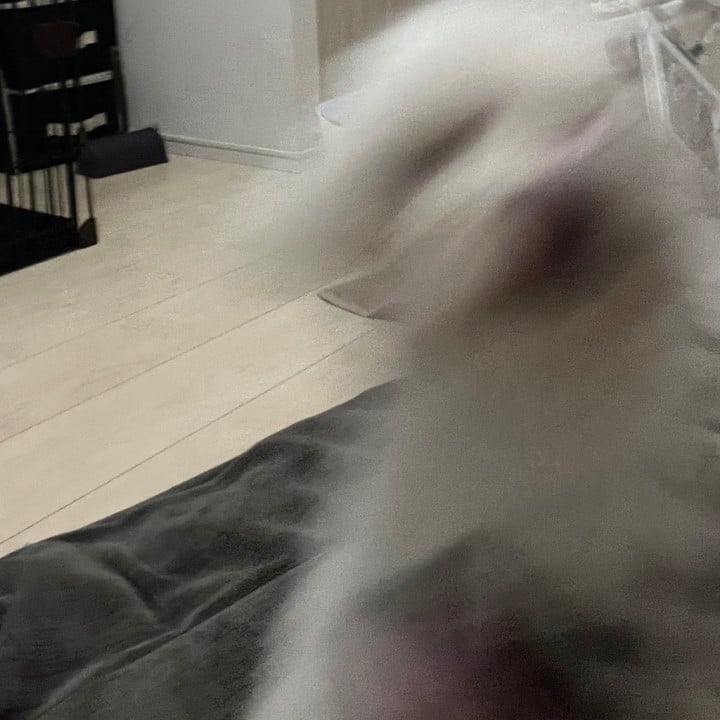 なぎ