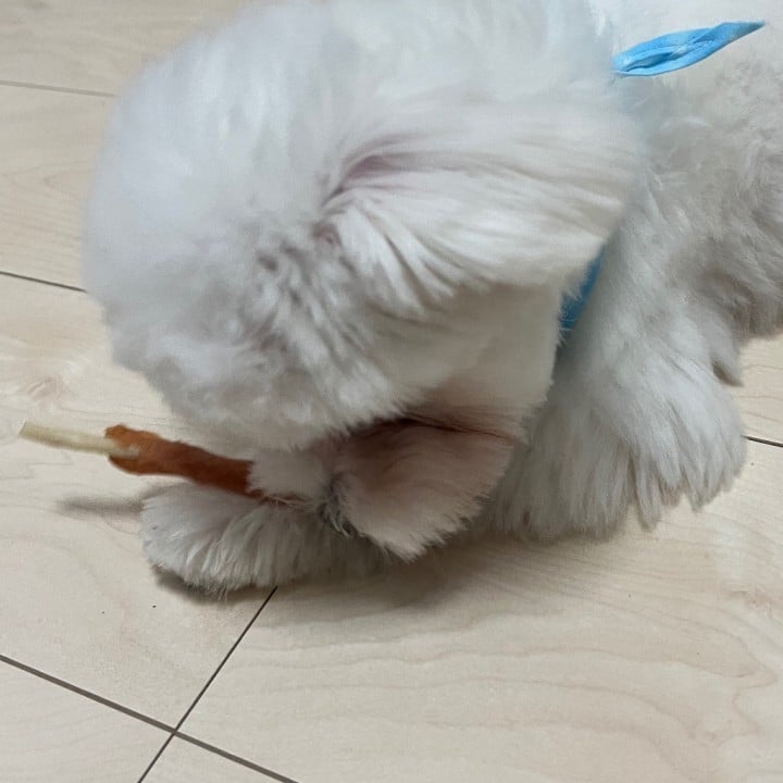 なぎ