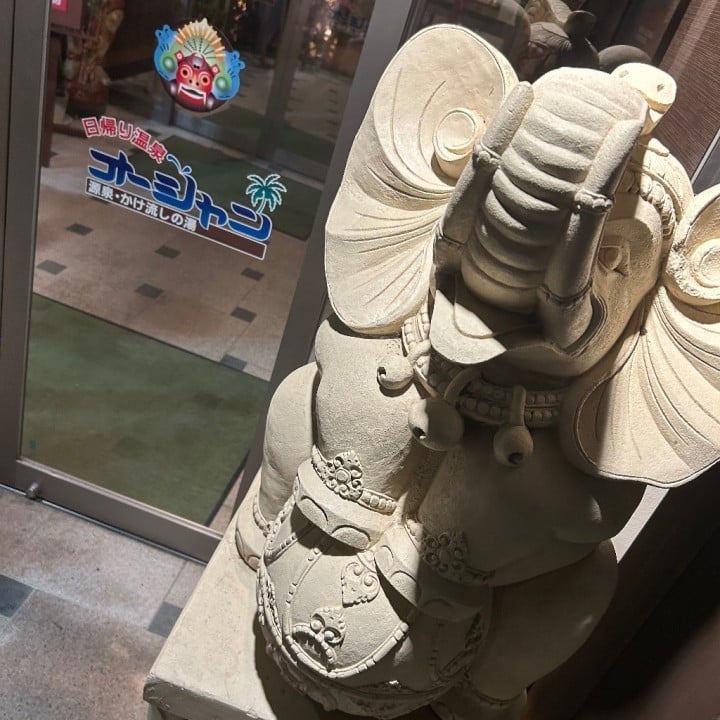 のこ